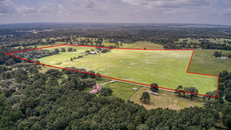 25396 Magnolia Rd, Hockley, TX à vendre - Photo de l’immeuble – Image 3 sur 40