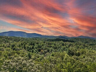 Plus de détails pour 245+/- Acres Gates Chapel Rd, Ellijay, GA - Terrain à vendre