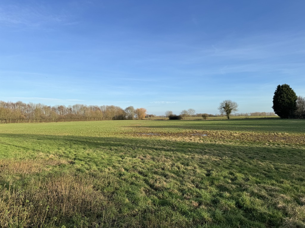Amenity Pasture & Woodland, Somersham à vendre Autre– Image 1 sur 3