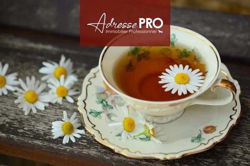 Local commercial dans La Rochelle à louer Photo de l’immeuble– Image 1 sur 4