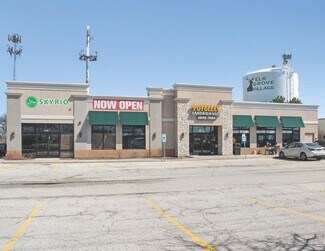 Plus de détails pour 1551 Busse Rd, Elk Grove Village, IL - Local commercial à vendre