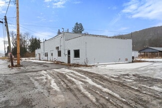 Plus de détails pour 896 Ithaca Rd, Willseyville, NY - Local commercial à vendre