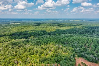 Plus de détails pour TBD State Hwy 64, Tyler, TX - Terrain à vendre