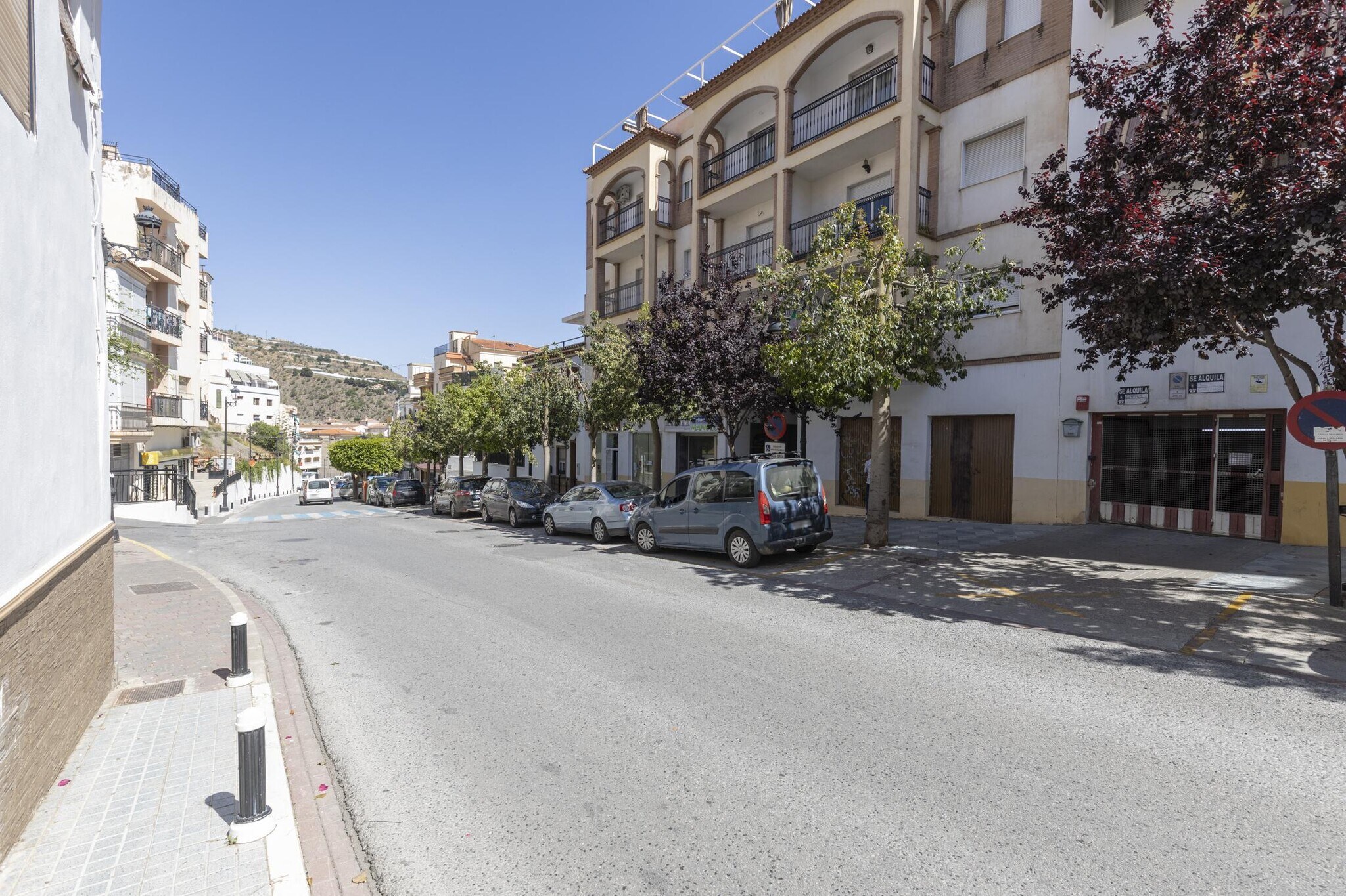 Local commercial dans Albuñol à vendre Photo de l’immeuble– Image 1 sur 19