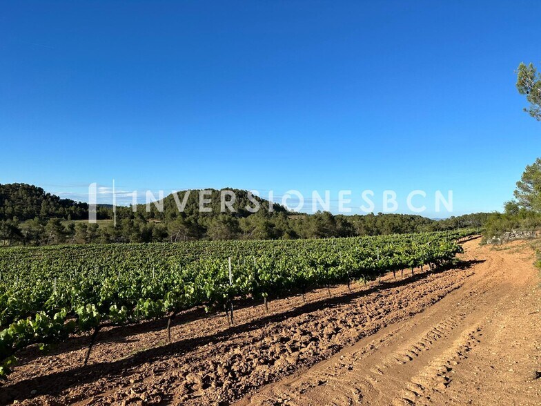 Terrain dans Vimbodí i Poblet, Tarragona à vendre - Autre – Image 3 sur 8
