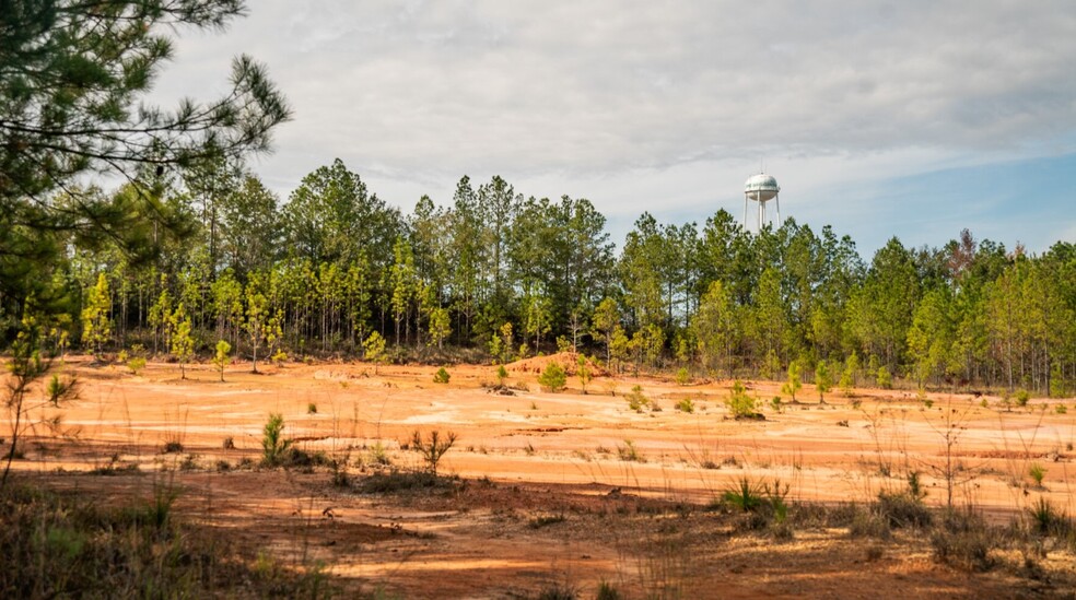 000 Woodland Dr, Wiggins, MS à vendre - Aérien – Image 2 sur 5