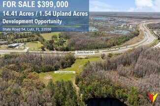 Plus de détails pour State Road 54, Land O' Lakes, FL - Terrain à vendre