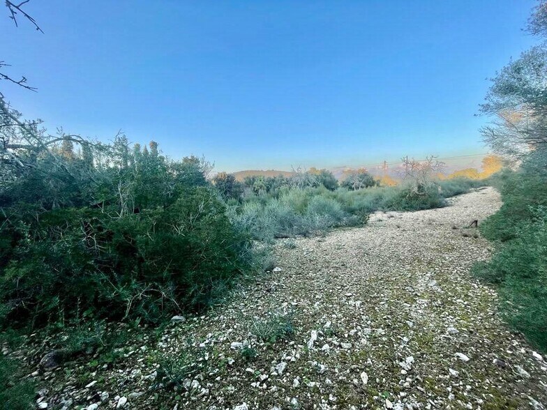 Terrain dans Manacor, Islas Baleares à vendre - Plan de site – Image 2 sur 5