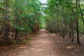 Plus de détails pour 737 Burnt Mill Creek Rd, Mountville, SC - Terrain à vendre