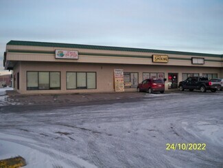 Plus de détails pour 201 OLD STEESE Hwy, Fairbanks, AK - Local commercial à louer