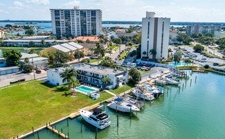 Plus de détails pour 223 Dolphin Pt, Clearwater, FL - Logement à vendre