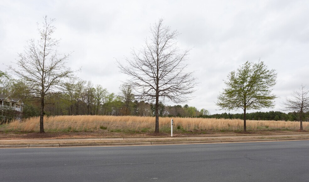 930 Broadstone Way, Apex, NC à vendre - Photo de la construction – Image 2 sur 3