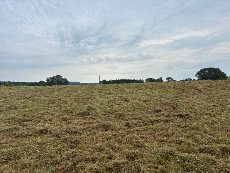 TBD 12.9 CR 1243, Linden, TX à vendre - Photo de l’immeuble – Image 2 sur 3