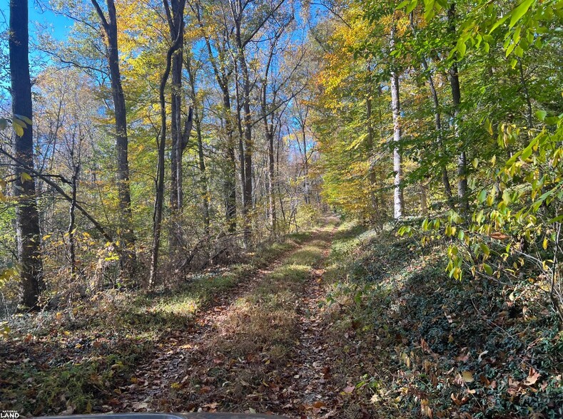 0 N Roxbury Mill Rd Rd, Woodford, VA à vendre - Autre – Image 2 sur 32