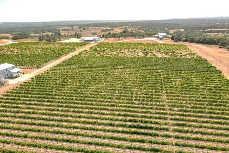 274 County Road 1403, Lometa, TX à vendre - Photo de l’immeuble – Image 3 sur 6
