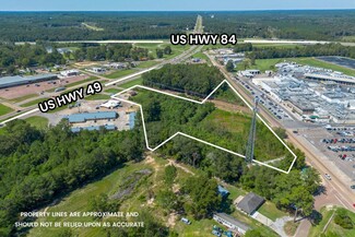 Plus de détails pour 3492 Highway 49, Collins, MS - Terrain à vendre