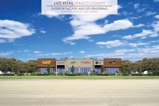 Plus de détails pour 16611 Pointe Village Dr, Lutz, FL - Local commercial à louer