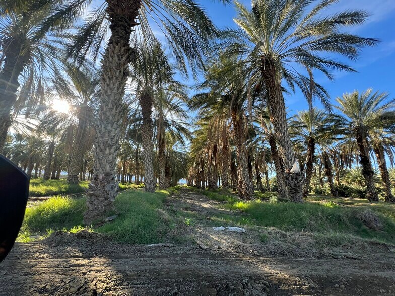 856.47 AC Organic Date Ranches portefeuille de 8 biens à vendre sur LoopNet.fr - Photo principale – Image 3 sur 25