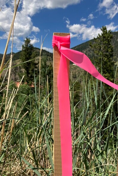 3 Miners Rd, Black Hawk, CO à vendre - Photo de l’immeuble – Image 3 sur 3