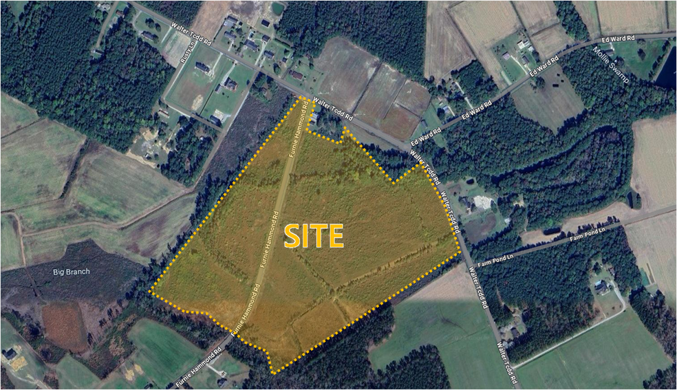 Walter Todd Road, Clarendon, NC à vendre - Aérien – Image 1 sur 1