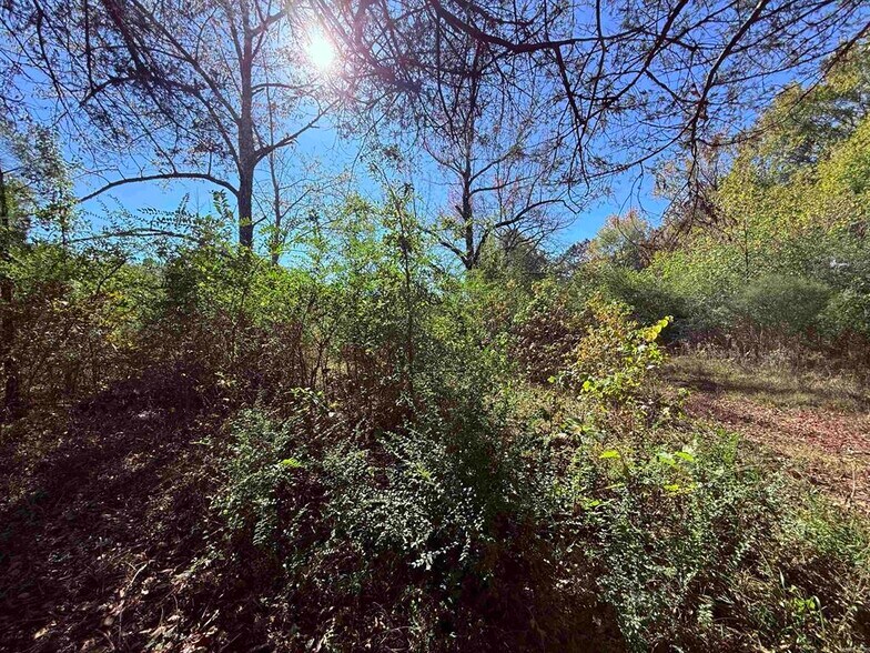 101 Indian Trl, Bald Knob, AR à vendre - Photo de l’immeuble – Image 2 sur 17