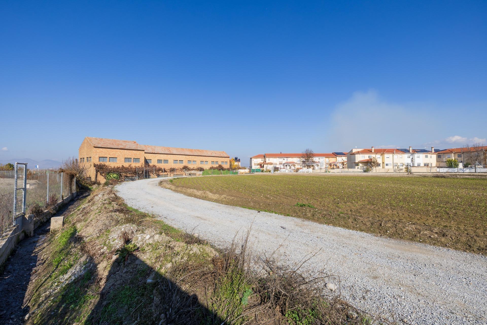 Camino Santa Fe, Vegas del Genil, Granada à vendre Photo principale– Image 1 sur 23