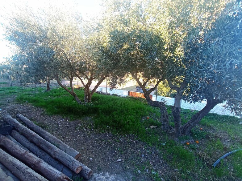 del Cerrillo Páez, 5, Dalías, Almería à vendre - Photo de l’immeuble – Image 3 sur 10