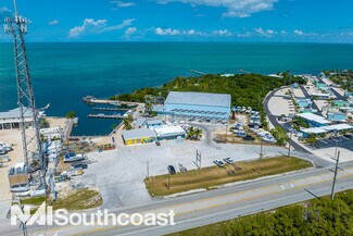 Plus de détails pour 59073 Overseas Hwy, Marathon, FL - Spécialisé à vendre
