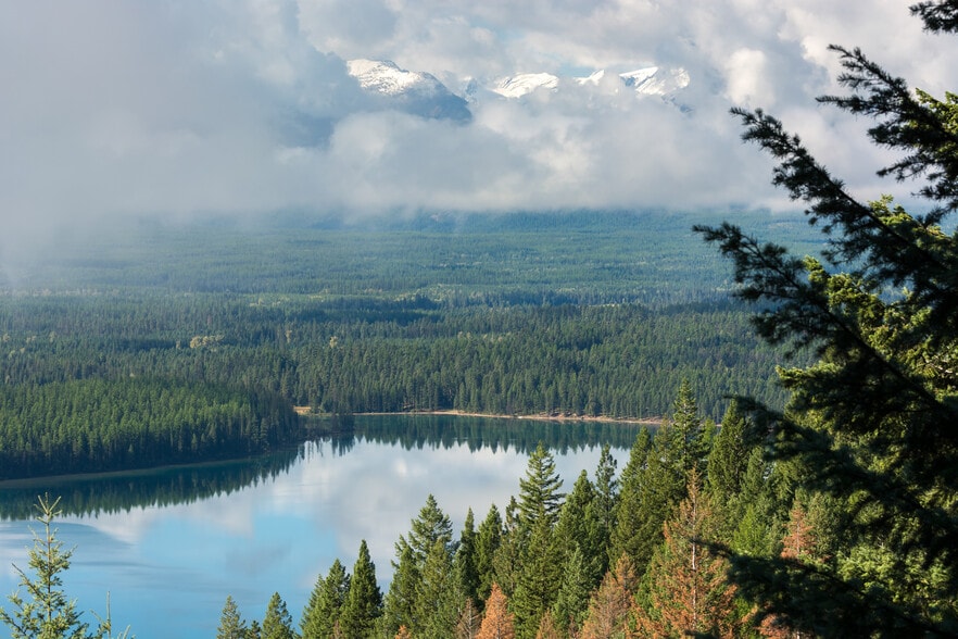 Lone Lake Legacy Timber & Grazing Tract, Kila, MT à vendre - Autre – Image 3 sur 7