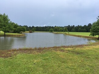 Plus de détails pour Highway 10 & FM 1136, Orange, TX - Terrain à vendre