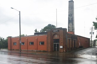 Plus de détails pour 14471 Livernois Ave, Detroit, MI - Industriel/Logistique à louer