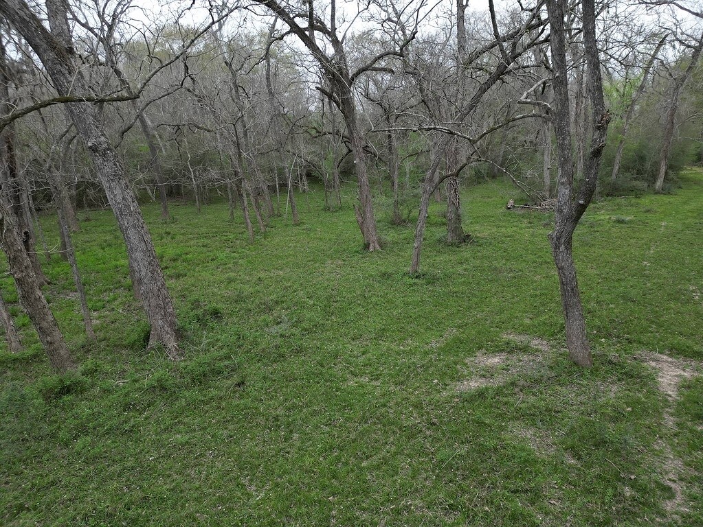 View Photo