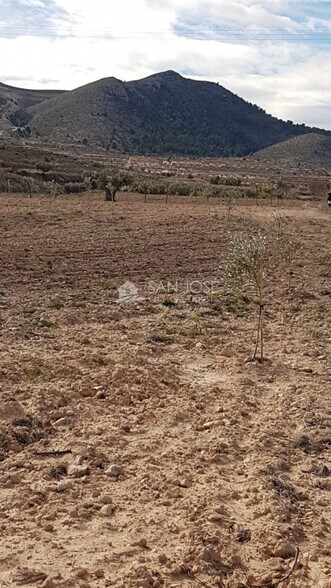 Terrain dans HONDÓN DE LAS NIEVES, Alicante à vendre - Photo principale – Image 2 sur 2