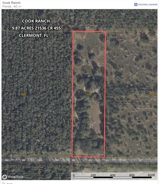 Plus de détails pour 21536 County 455 rd, Clermont, FL - Terrain à vendre
