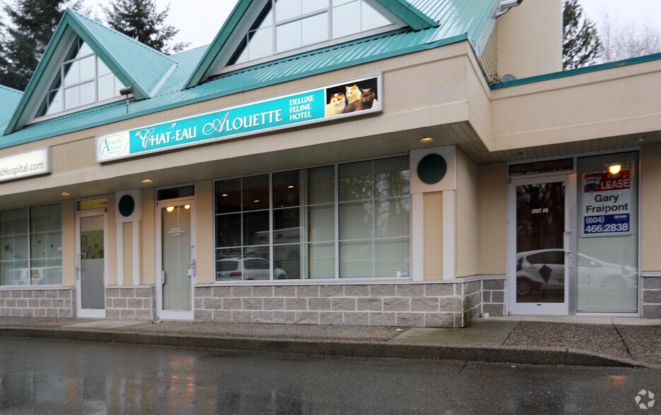 21409 Lougheed Hwy, Maple Ridge, BC à vendre - Photo de l’immeuble – Image 2 sur 4