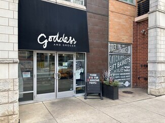 Plus de détails pour 873 N Larrabee St, Chicago, IL - Logement à vendre