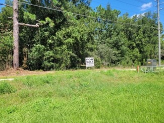 Plus de détails pour 4323 W Gulf To Lake Hwy, Lecanto, FL - Terrain à vendre