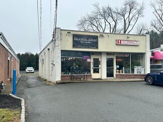 Plus de détails pour 393 Ridgedale Ave, East Hanover, NJ - Local commercial à louer