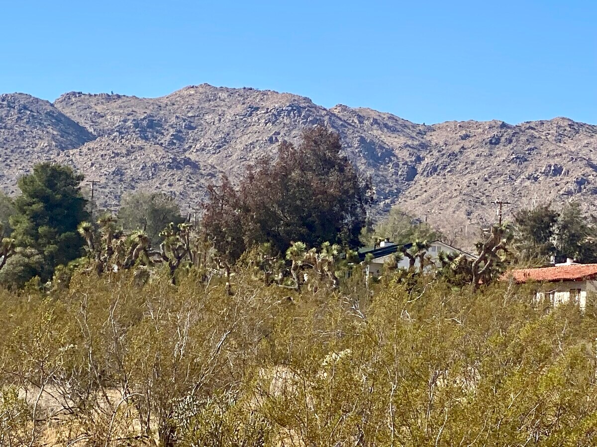 View Photo