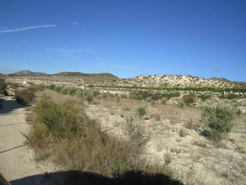 Terrain dans La Romana, Alicante à vendre - Aérien – Image 2 sur 4