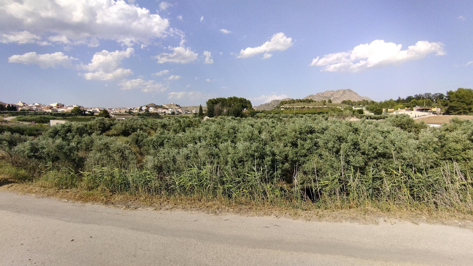 Terrain dans Calasparra, Murcia à vendre Photo de l’immeuble– Image 1 sur 8
