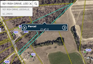 Plus de détails pour 921 Rish Ave, Leesville, SC - Terrain à vendre
