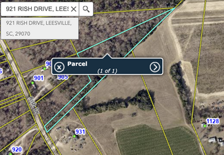 Plus de détails pour 921 Rish Ave, Leesville, SC - Terrain à vendre