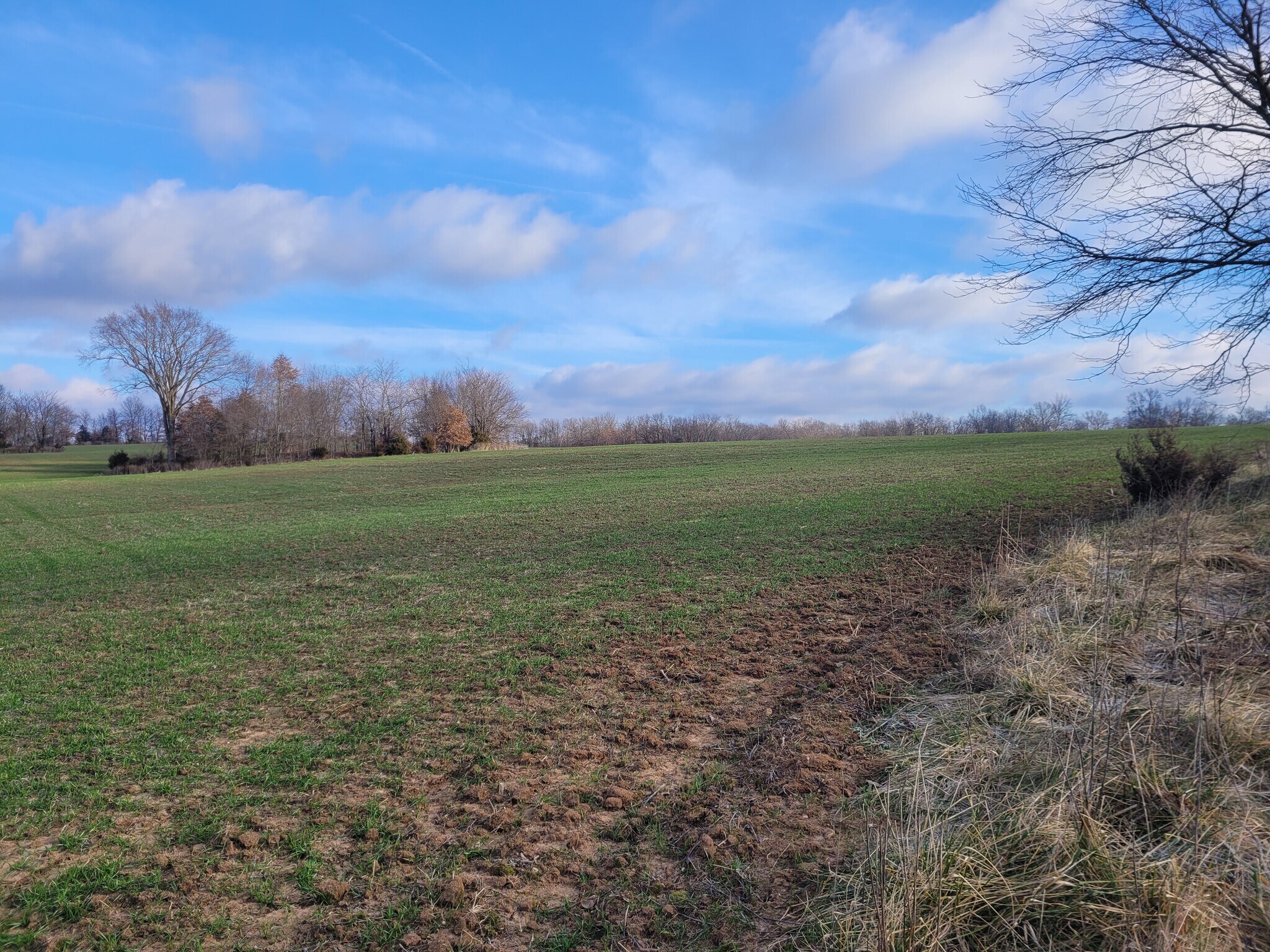 Bales Rd. (55.3+/- Acres), Middletown, MO à vendre Autre– Image 1 sur 42
