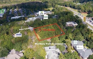 Plus de détails pour 1 Arley Way, Bluffton, SC - Terrain à vendre