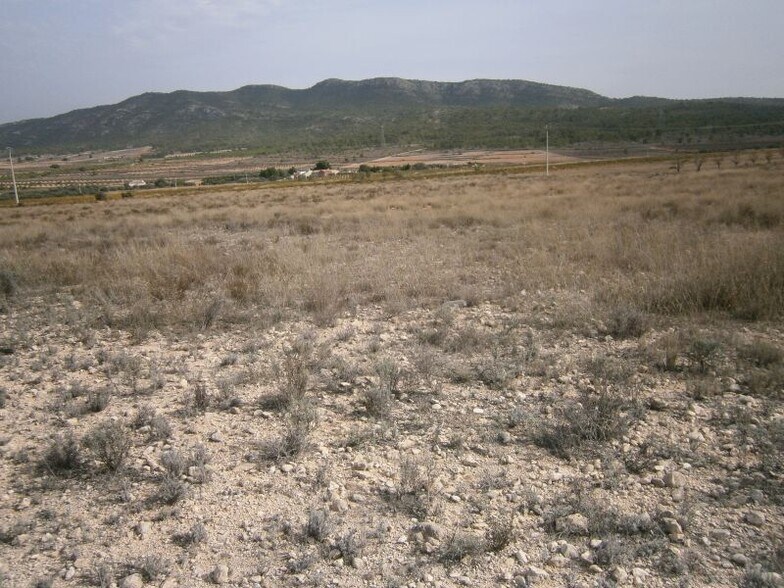 Terrain dans Salinas, Alicante à vendre - Plan de site – Image 2 sur 6