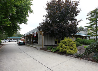 Plus de détails pour 8228 Mayfield Rd, Chesterland, OH - Bureau, Bureau/Local commercial à louer