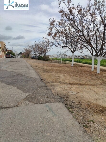 Terrain dans Burguillos, Sevilla à vendre - Photo de l’immeuble – Image 2 sur 21