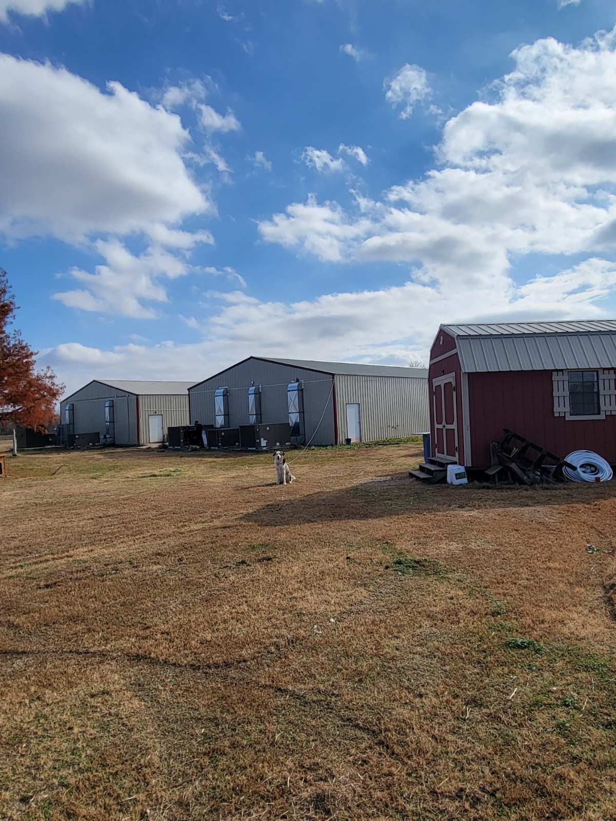 33180 OK-59, Wayne, OK à vendre Photo principale– Image 1 sur 20