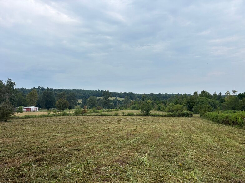 TBD 12.9 CR 1243, Linden, TX à vendre - Photo principale – Image 1 sur 3
